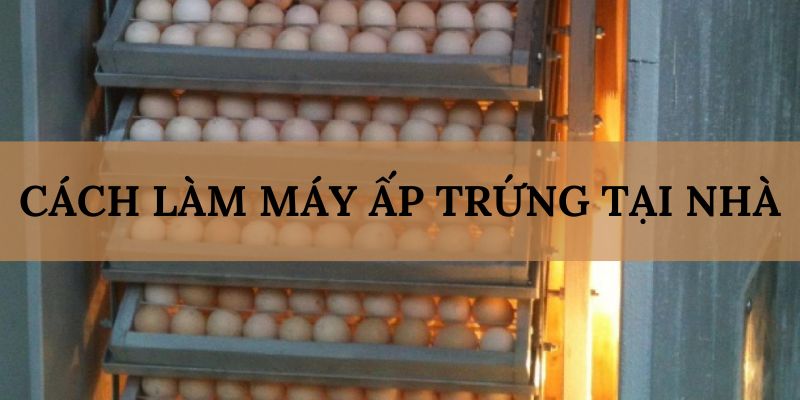 Banner www.baobitunglam.com