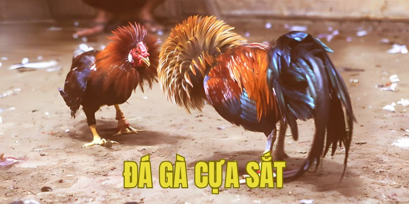 Banner www.baobitunglam.com