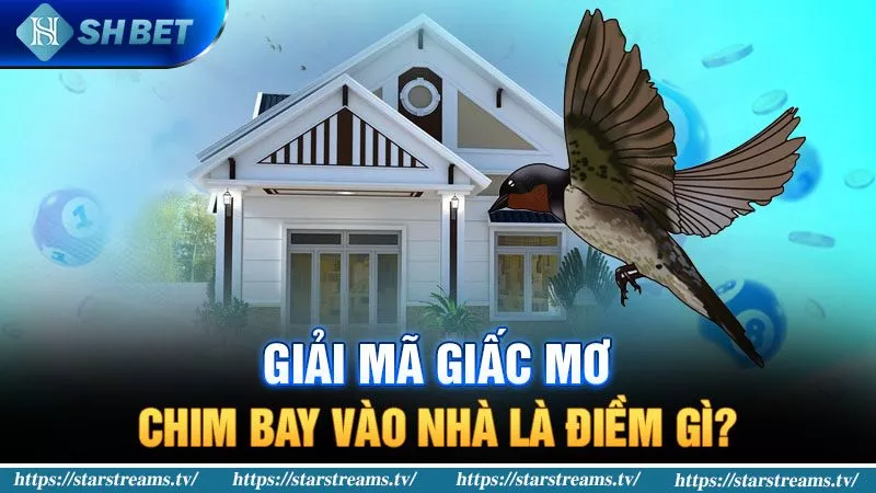 Banner www.baobitunglam.com