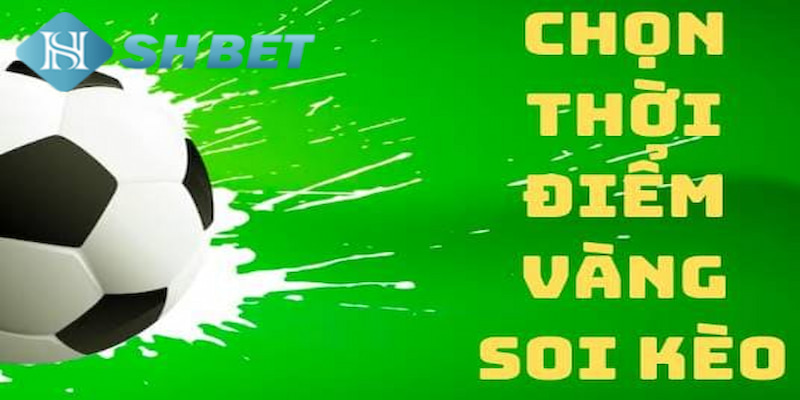 Banner www.baobitunglam.com